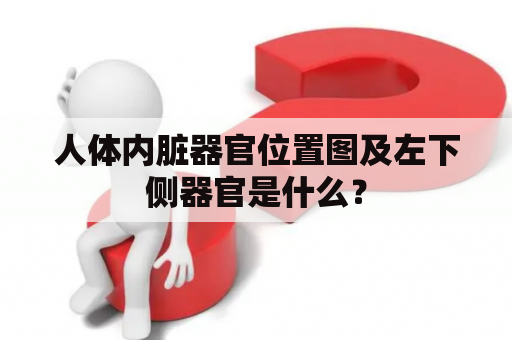 人体内脏器官位置图及左下侧器官是什么？