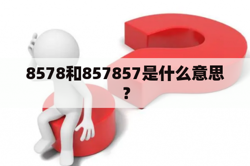 8578和857857是什么意思？