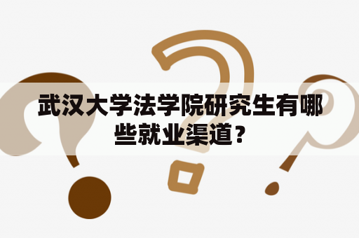 武汉大学法学院研究生有哪些就业渠道？