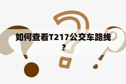 如何查看T217公交车路线？