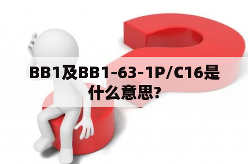 BB1及BB1-63-1P/C16是什么意思?