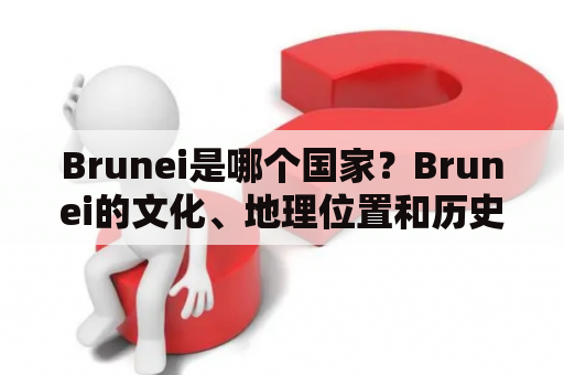 Brunei是哪个国家？Brunei的文化、地理位置和历史