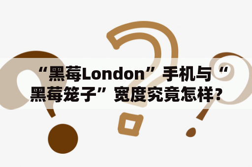 “黑莓London”手机与“黑莓笼子”宽度究竟怎样？——以第三人称视角描写